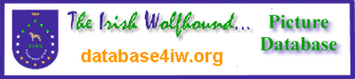 The Irish Wolfhound Database